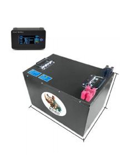 磷酸铁锂电池型号1